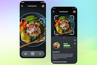 develop augmented reality lidar scanner app,  with laser and lidar camera app