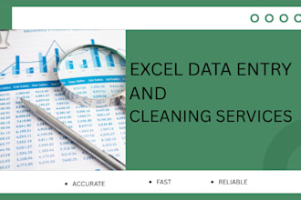 do professional excel data entry and bookkeeping support