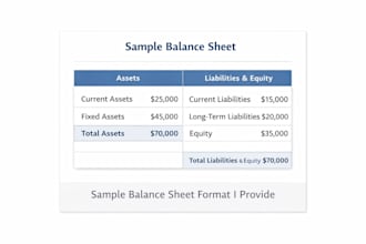 prepare financial statements, tax summaries and business reports