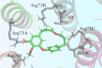 do homology modelling, molecular docking and MD simulations