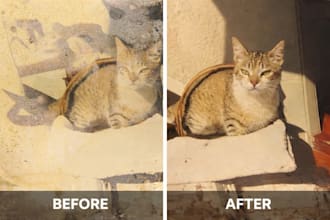 restore, repair, and colorize your old photos