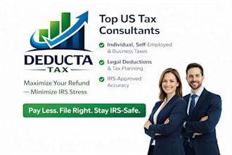 do your US tax filing and tax planning as a professional