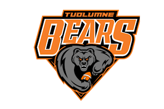 design animal extraordinary bears football logo