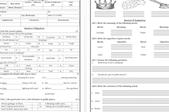 do data entry ms word typing retype and excel document job