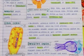 provide one on one biology tutoring with clear explanation