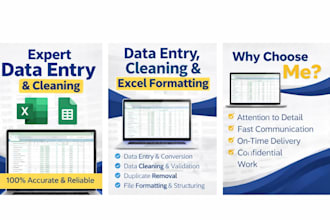 do accurate data entry, data cleaning and excel formatting