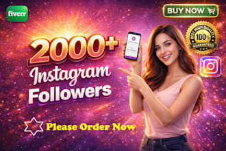 provide 2,000 instagram followers fast