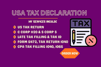 do usa tax declaration, income tax returns 1120, 5472 cpa