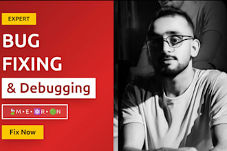 fix bugs and add feature in your mern stack or flutter app frontend backend API