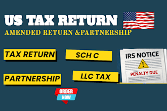 prepare and file usa tax return, tax amendment for personal, corporate and llc