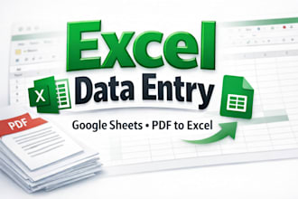 accurate excel and google sheets data entry