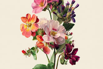 make stunning botanical plants illustration