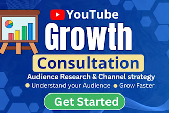 provide youtube growth consultation and video optimization