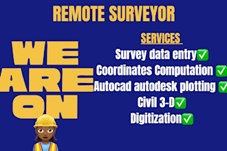 key in survey data in excel for you