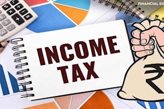 doing income tax, gst return, book keeping, all statutory compliances