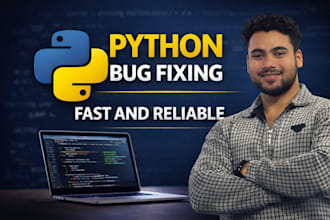 python bug fixing and debugging service