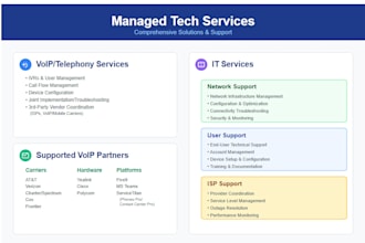 provide voice and network technical support
