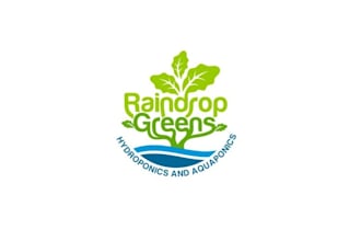 design eco friendly organic produce company logo