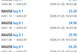 offer a profitable forex trading robot, forex trading robot, forex bot, ea robot