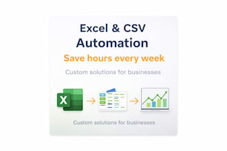 automate your excel or CSV files into a fast custom solution
