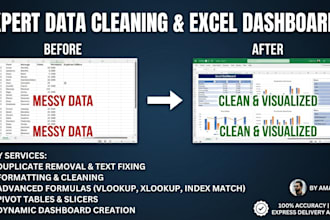do expert data cleaning advance formulas and excel dashboard