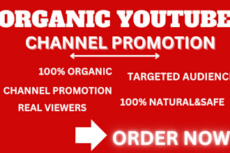 do organic youtube video and channel promotion