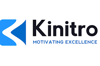 a custom brand or business logo design and branding kit