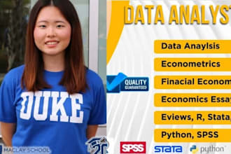 do financial economics, econometrics analysis using r, stata, eviews, and python