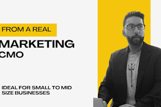 be your fractional cmo to drive growth and revenue