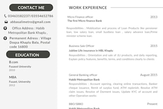 provide a professional  resume design and CV formatting services
