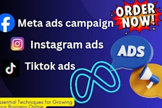 do meta ads campaign and GTM setup