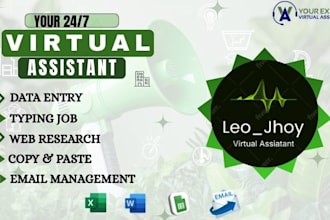 be your virtual assistant for data entry, web research, c and p email management