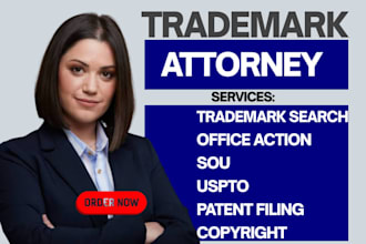 handle your patent and trademark search, filing, and protection