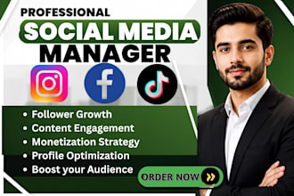 grow and manage instagram page, facebook organic followers tiktok monetization
