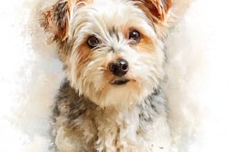 draw dog and animal watercolor portrait for you
