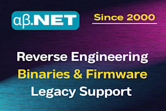 advanced reverse engineering, firmware analysis, and legacy support