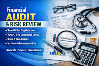 verify audit financial statements and detect red flags