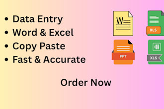 do accurate data entry in excel and word excel formatting
