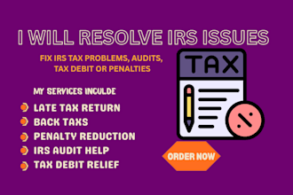 help you fix irs tax issues, audits, tax debt, penalties and back taxes