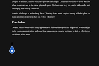 provide high quality audio or video transcription