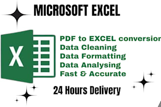 do excel formatting, cleaning and analysing data