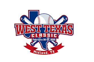 create awesome and gorgeous softball logo design