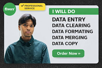 do data entry, data cleanup