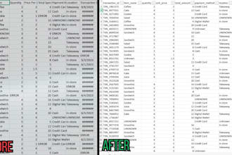clean, fix and organize your excel or CSV data