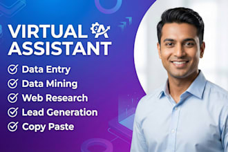 be your virtual assistant for data entry data mining