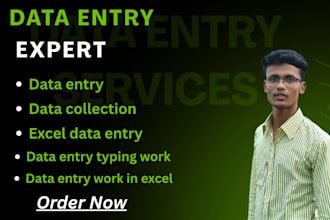 do data entry expert
