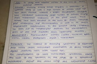 write anything in beautiful and neat handwriting