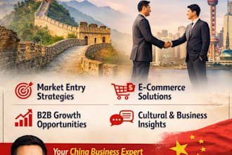 do market entry ecommerce strategy consultant expand your business to china