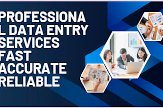 professional dataentry onlinewriting webresearch