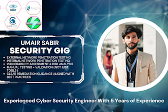 perform professional penetration testing